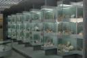 El museo de mineralogía
