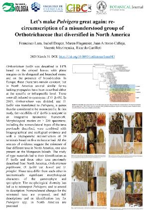Let’s make Pulvigera great again: re-circumscription of a misunderstood group of Orthotrichaceae that diversified in North America