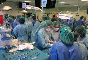 Laboratorio de Anatomía Aplicada: VII Curso de Trasplante Renal en Cadáver Thiel