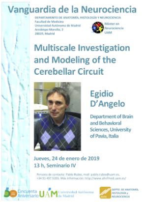 Cartel del Seminario Vanguardia de la Neurociencia: <i>Multiscale Investigation and Modeling of the Cerebellar Circuit</i>
