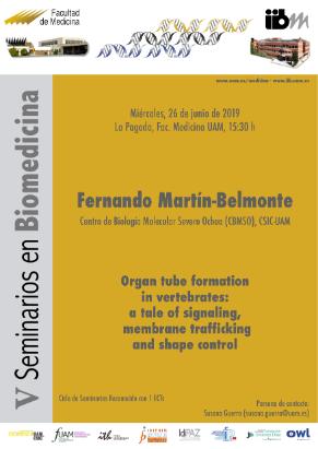Cartel del Seminario: <i>Organ tube formation in vertebrates: a tale of signaling, membrane trafficking and shape control.</i>