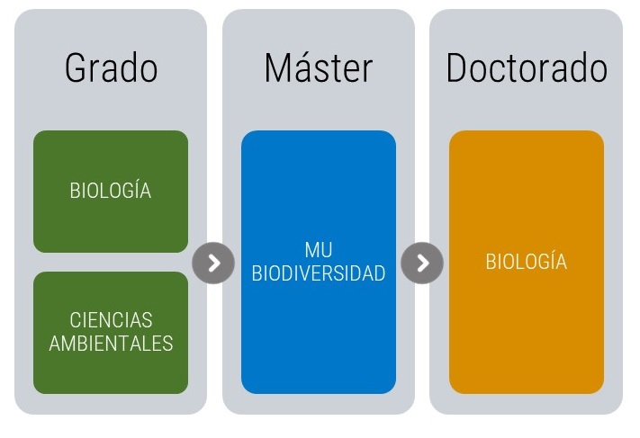 Imágen esquema