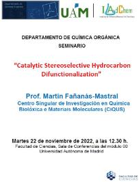 Seminario del Profesor Martín Fañanás-Mastral