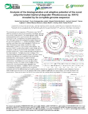 Analysis of the biodegradative and adaptive potential of the novel polychlorinated biphenyl degrader Rhodococcus sp. WAY2 revealed by its complete genome sequence