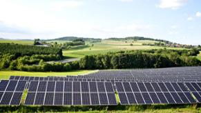 La instalación de plantas solares fotovoltaicas modifica radicalmente el ecosistema en que se ubica, pero estos cambios son aún poco comprendidos