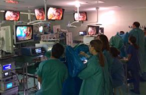 Laboratorio de Anatomía Aplicada: Curso práctico sobre técnica quirúrgica TaTME en Cáncer de Recto