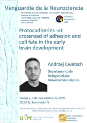 Cartel del Seminario Vanguardia de la Neurociencia: Protocadherins -at the crossroad of adhesion and cell fate in the early brain development. Andrzej Cwetsch.