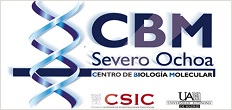 Centro de Biología Molecular. External Link. Open a new window