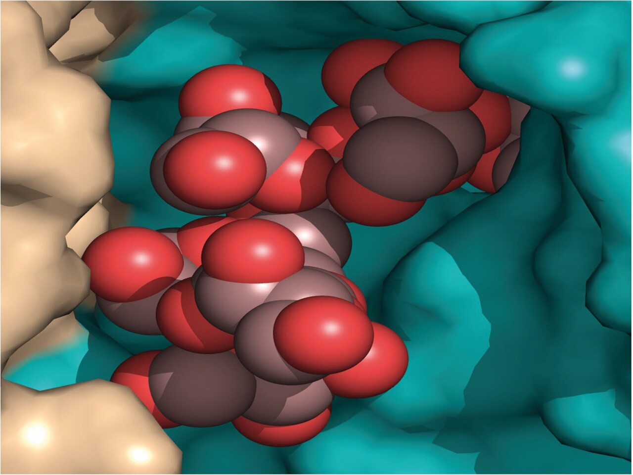 Modelo tridimensional que muestra una estructura molecular compuesta por esferas de diferentes colores representando átomos, con esferas rojas que indican oxígeno, esferas grises que representan carbono y esferas negras que simbolizan otros elementos.