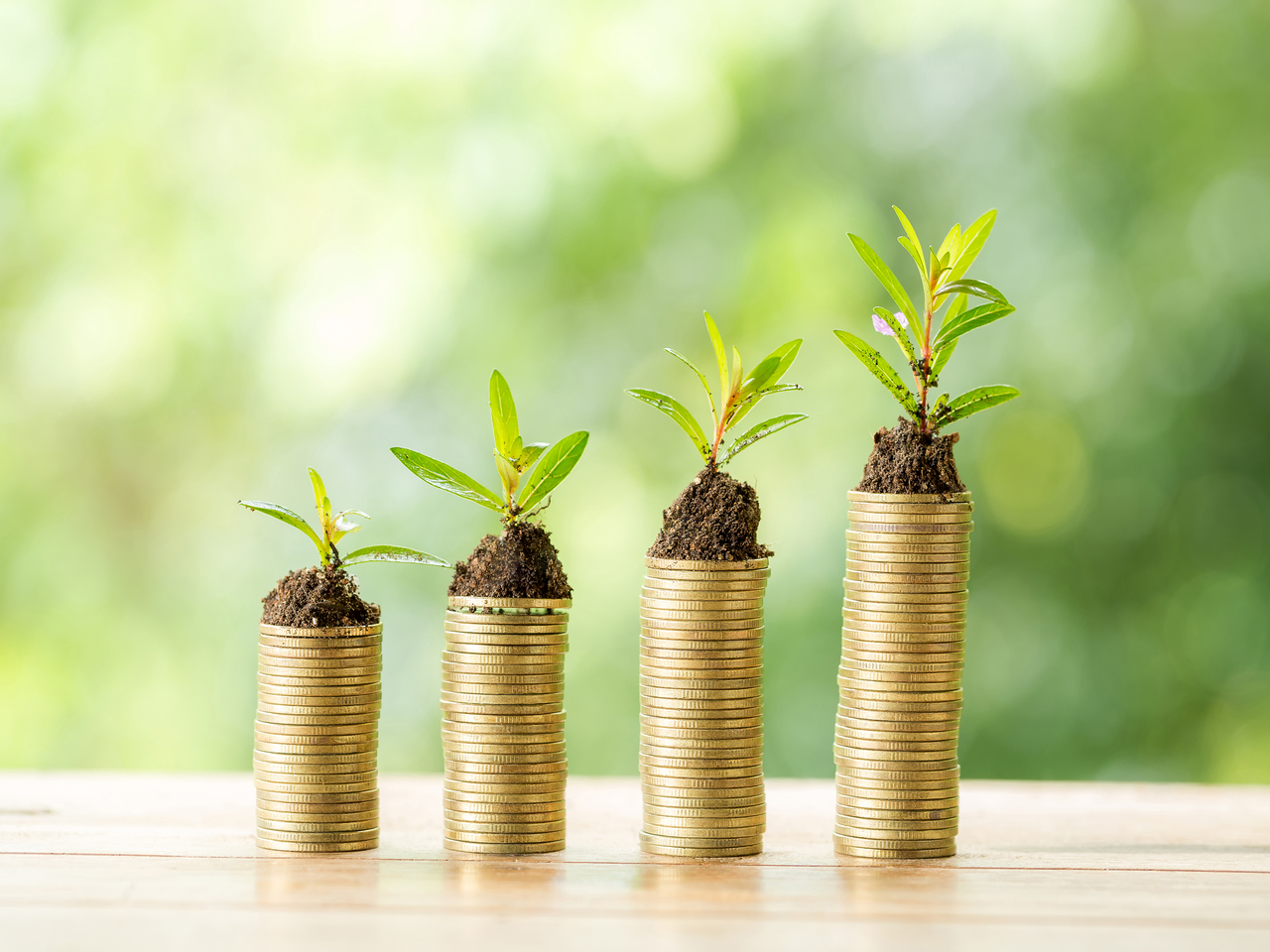 Cuatro montones de monedas apiladas de diferentes alturas y una planta encima de cada uno de los montones.