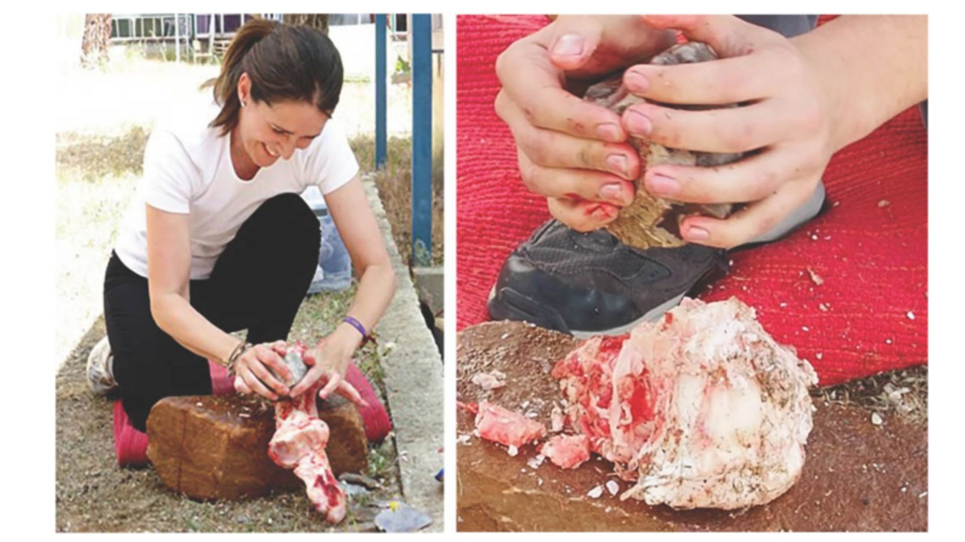 Dos participantes inexpertos utilizando bolas de piedra talladas para romper la diáfisis y la epífisis de un hueso. 